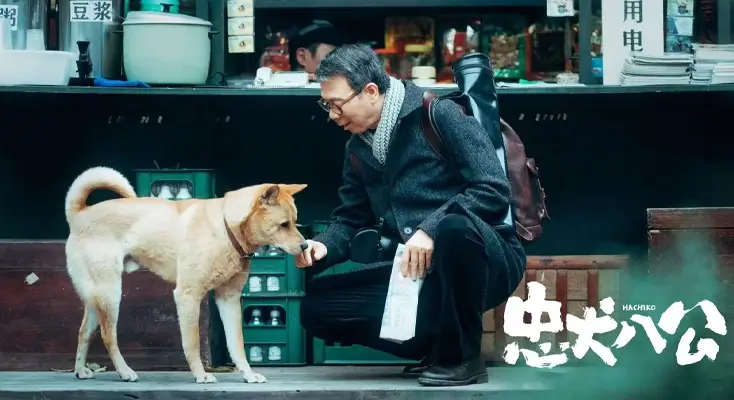 海外可以看优酷吗？图解